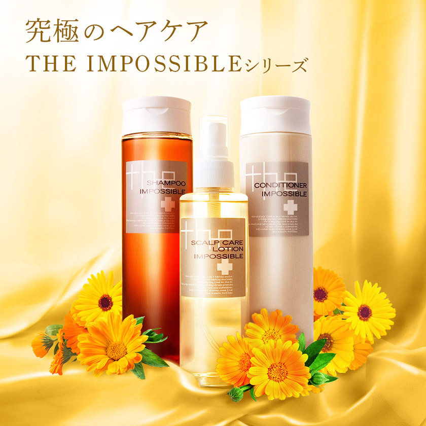THE IMPOSSIBLEシリーズ