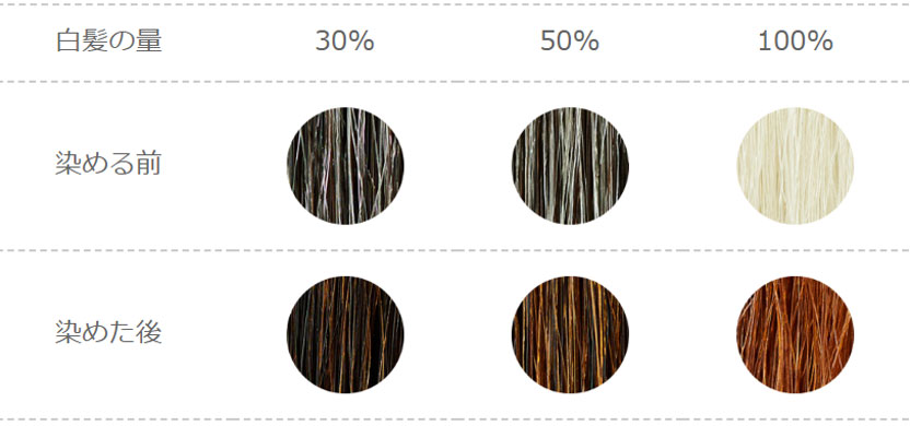 ナイアードヘナ＋木藍 茶系の染め上がり色見本