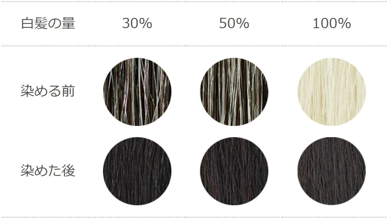 ナイアードヘナ＋木藍 黒の染め上がり色見本