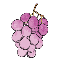 ブドウの実