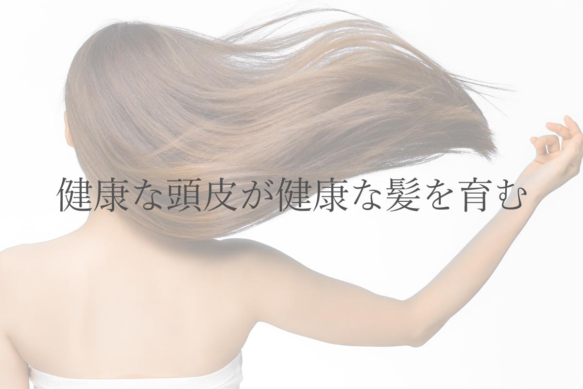 健康な頭皮が健康な髪を育む
