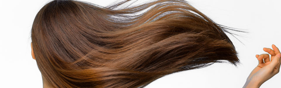女性の長い髪
