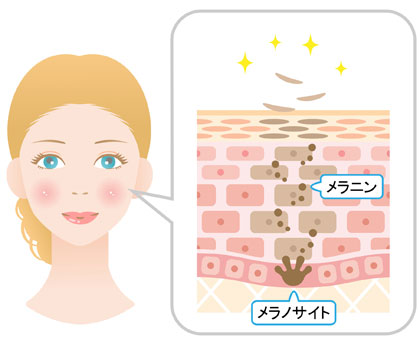 シミが排出されるイラスト