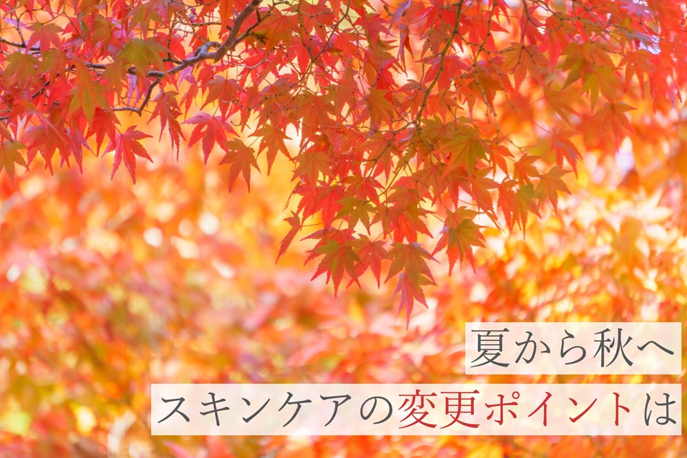夏から秋へ。スキンケアの変更ポイントは