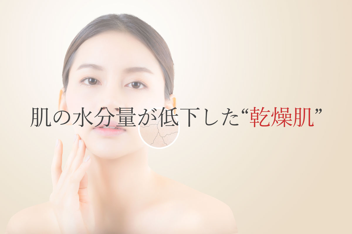 肌の水分量が低下した乾燥肌
