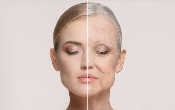 若い肌とエイジングの進んだ肌の比較